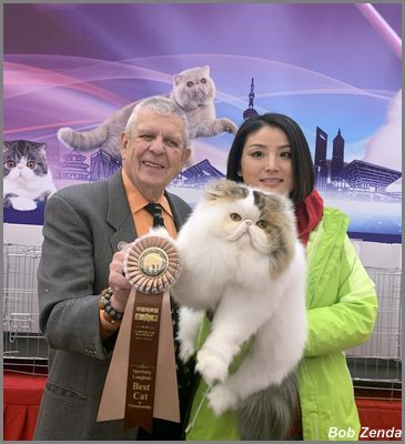 Cat's Story's  Naga